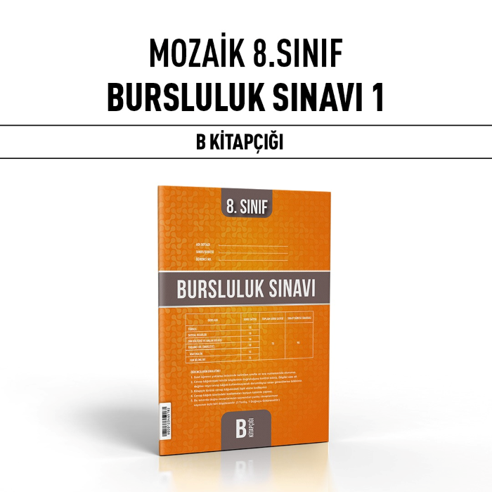 MOZAİK 08.SINIF BURSLULUK SNV 1-B - 24-25